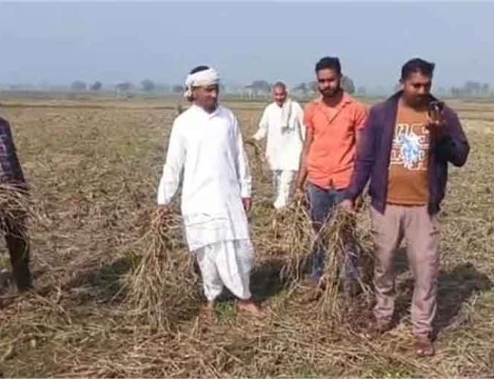 पानी संकट ने रोकी खेती: हरियाणा के इस गांव में सैकड़ों एकड़ जमीन पर नहीं बोया गया गेहूं