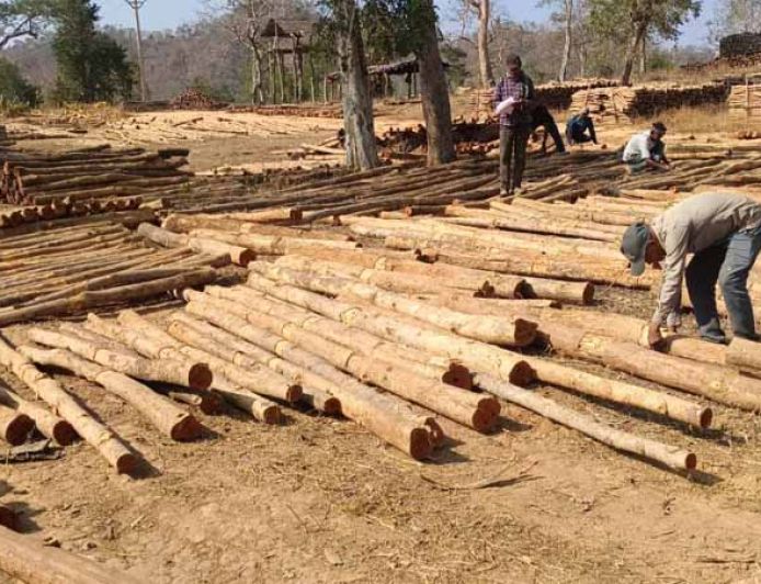 डिजिटल सिस्टम से बढ़ी पारदर्शिता, रोजगार सृजन में वन विकास निगम की नई पहल