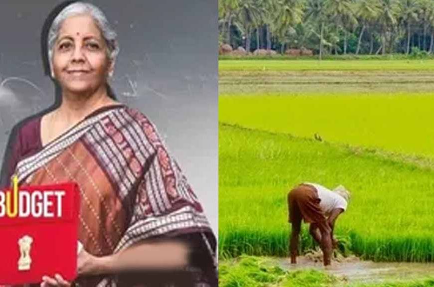 हरियाणा में खारेपन और सेम से मिलेगी मुक्ति, 6 लाख एकड़ जमीन को खेती योग्य बनाएगी सरकार