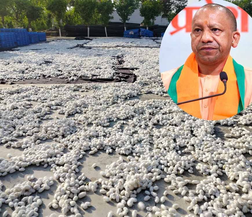 योगी सरकार की दूरदर्शी पहल से रेशम उद्योग को नई उड़ान, ‘सेन्टर ऑफ एक्सीलेन्स’ का हुआ शुभारंभ