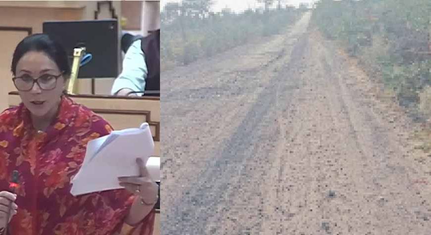 राजस्थान विधानसभा में उठा सीमावर्ती जर्जर सड़कों का ‘मुद्दा’, दीया कुमारी ने दिया सुधार वाला जवाब