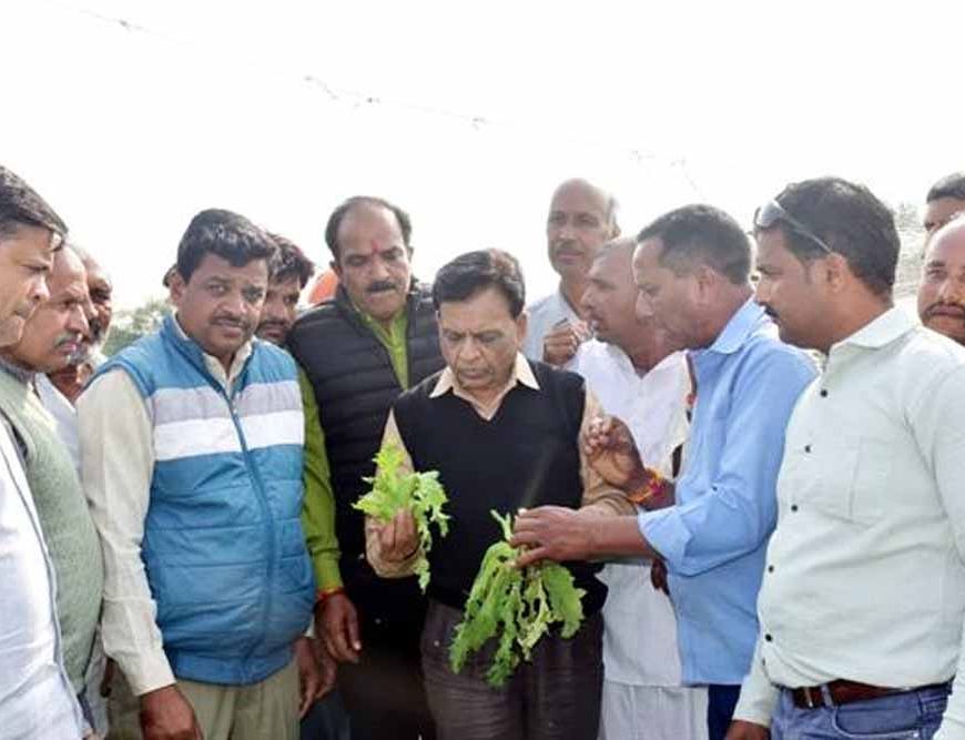 उप मुख्यमंत्री  देवड़ा ने किया ओलावृष्टि प्रभावित फसलों का निरीक्षण