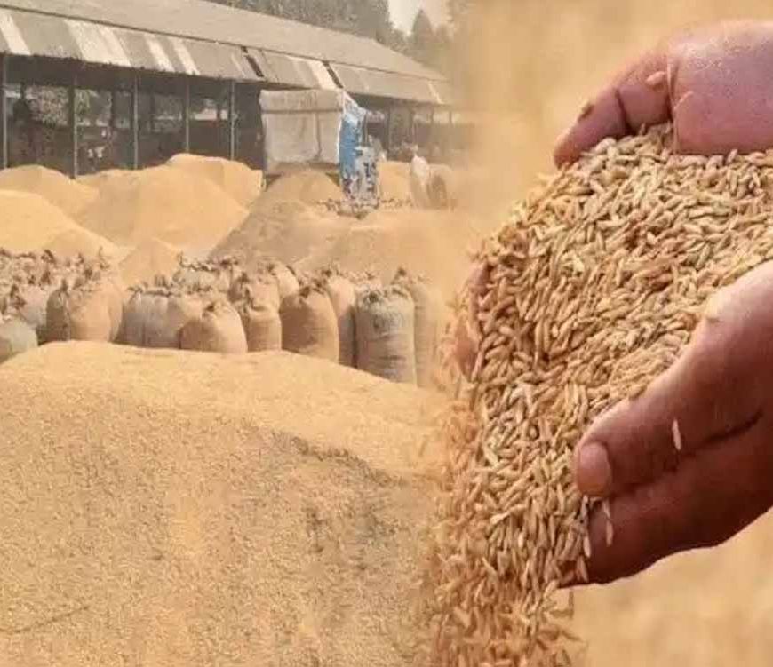 550 किसानों को फिर मिला धान बेचने का मौका, धान खरीदी तिथि दो दिन और बढ़ाई