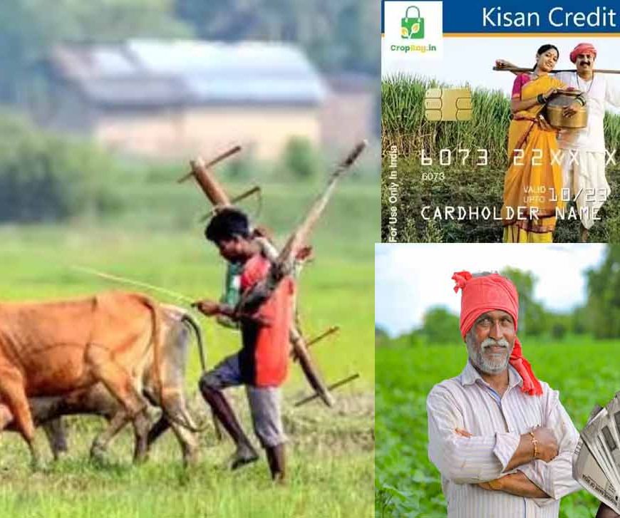 अब 'फार्मर रजिस्ट्री' से PM-Kisan और KCC लोन मिलना होगा आसान, बिचौलियों से मिलेगी मुक्ति