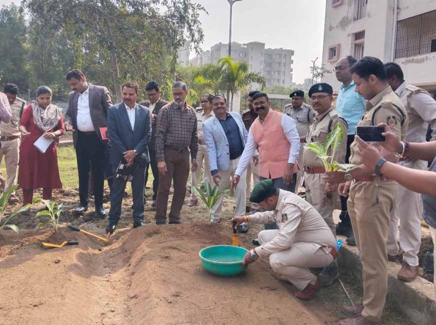 हाइड्रोपोनिक्स से टेरेस गार्डन को मिल रही नई दिशा