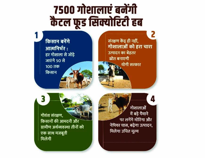 7500 गोशालाएं बनेंगी कैटल फूड सिक्योरिटी हब