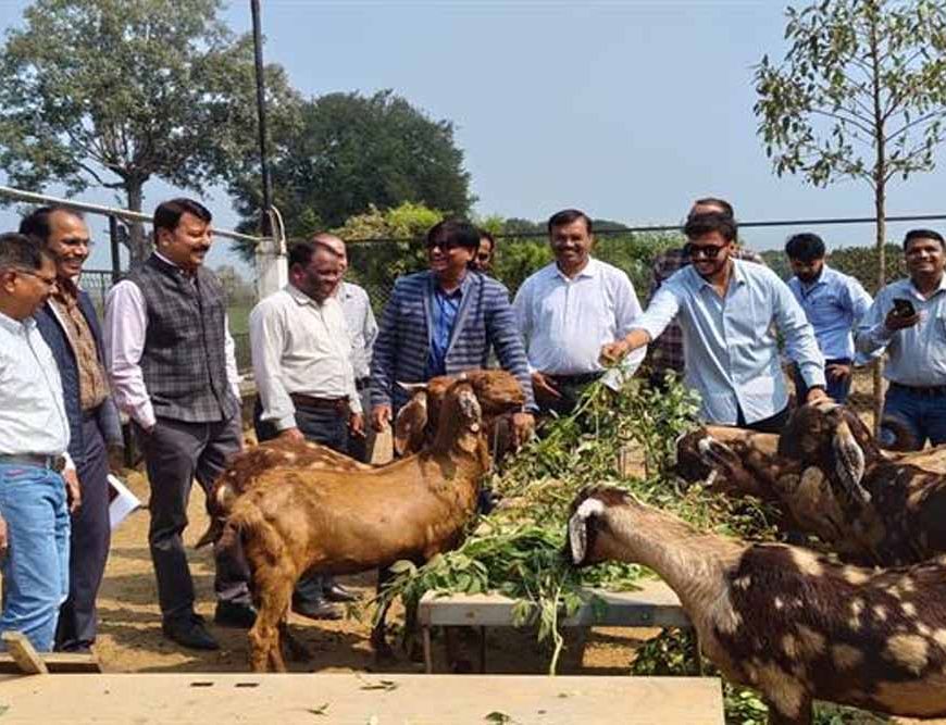 कृषि और पशुपालन किसानों के लिए बन रहा लाभकारी व्यवसाय