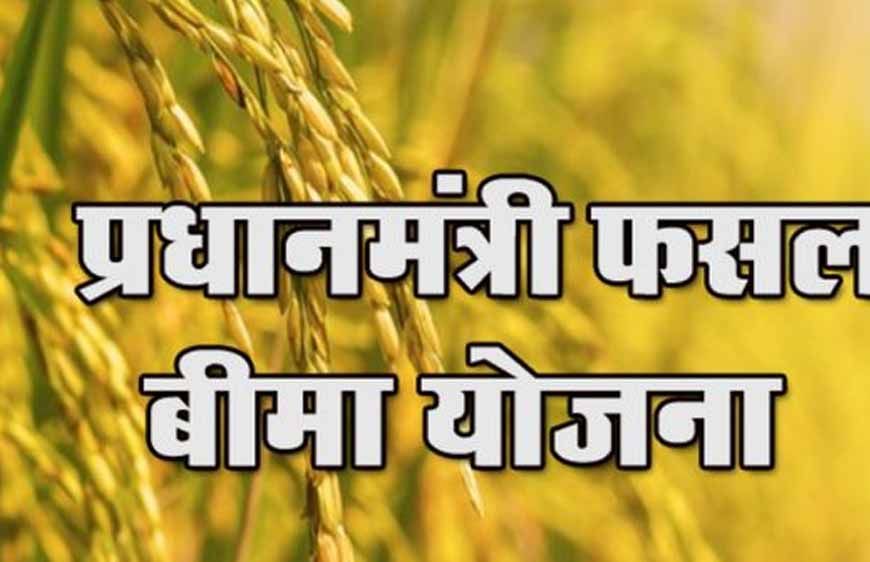 फसल बीमा से किसानों का मोहभंग: रबी पंजीकरण में 10% की गिरावट, जानिए कारण