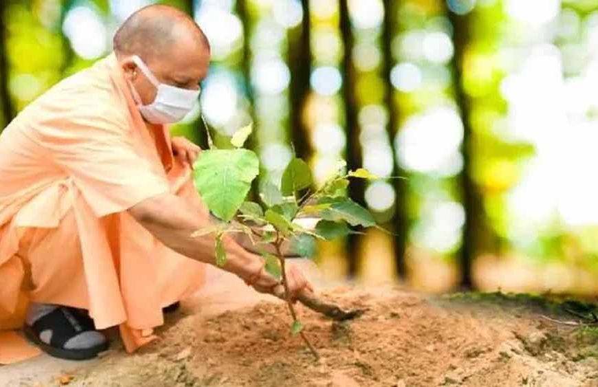 योगी सरकार-2026 में पूरे प्रदेश में लगाएगी 35 करोड़ पौधे