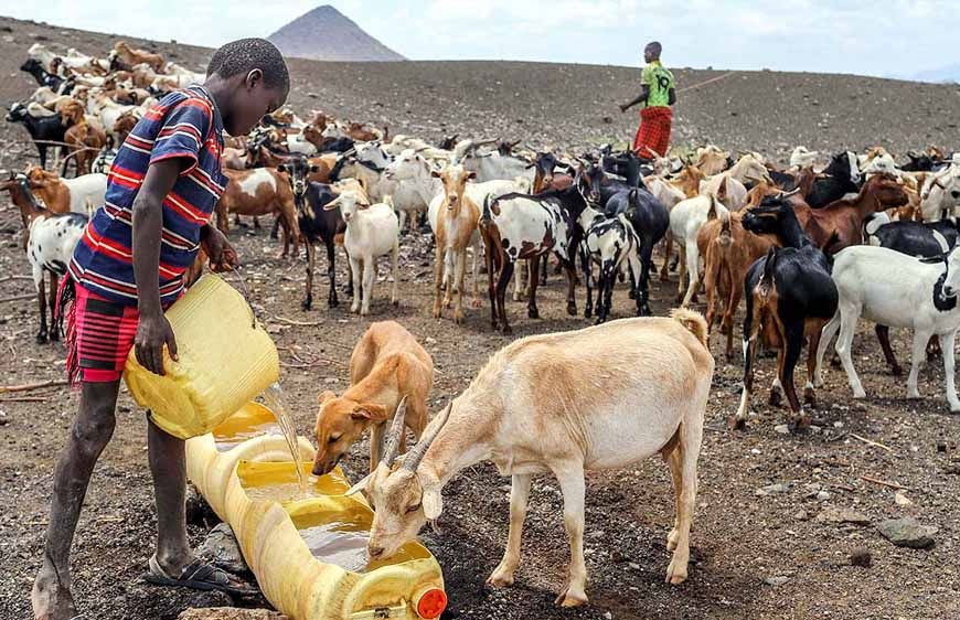 केन्या में सूखा: 20 लाख लोग भुखमरी की कगार पर, मौत का साया