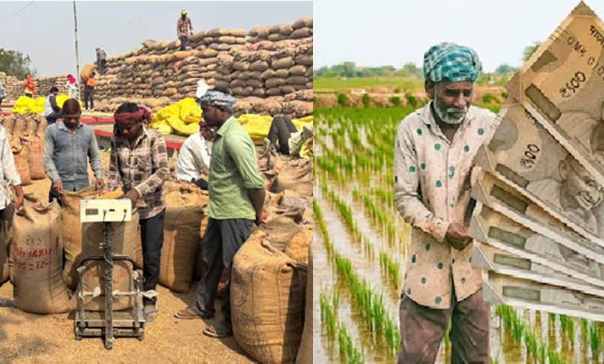 किसानों को 1508 करोड़ रुपए किए भुगतान, समर्थन मूल्य पर हुई धान खरीदी