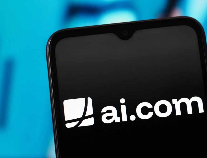 ₹300 का डोमेन बना 600 करोड़ की डील, 10 साल की उम्र में रचा इतिहास