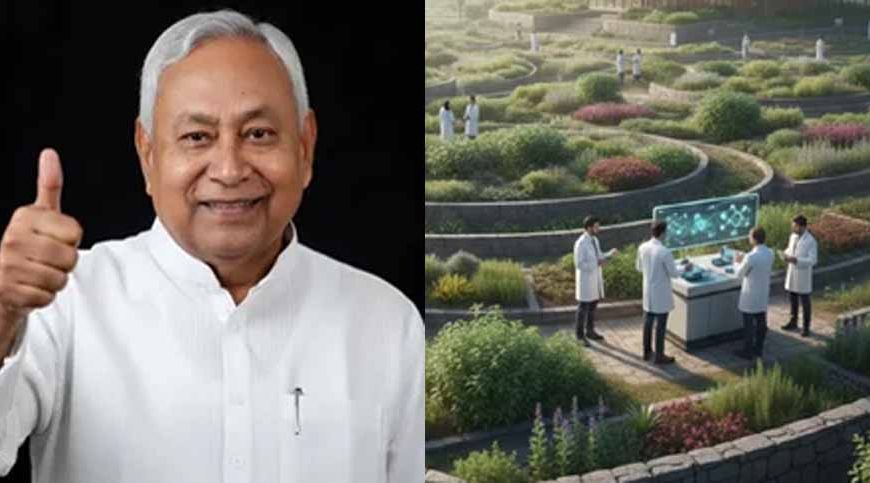 औषधीय पौधे में ढूंढा जाएगा कैंसर का उपचार, वाटिका पर 30 करोड़ खर्च करेगी बिहार सरकार