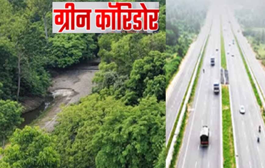 फतेहाबाद में 15 हजार पौधों से 4 डिग्री गिरा तापमान, अब पूरे हरियाणा में बनेंगे ग्रीन कॉरिडोर