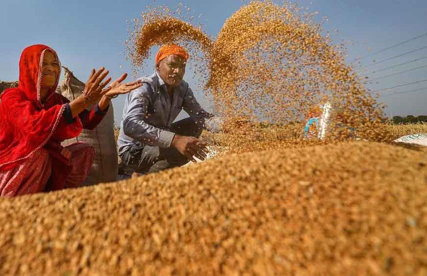 20 हजार से अधिक किसानों ने समर्थन मूल्य पर गेहूँ उपार्जन के लिये कराया पंजीयन : मंत्री राजपूत