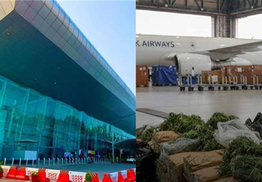 अमृतसर एयरपोर्ट पर पकड़ा डेढ़ करोड़ का गांजा, यात्री की तलाशी लेते ही उड़े होश