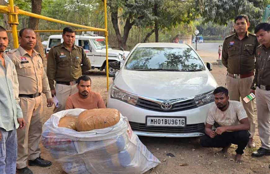 नशे के नेटवर्क पर करारा वार: 50 किलो गांजा जब्त, दो तस्कर गिरफ्तार