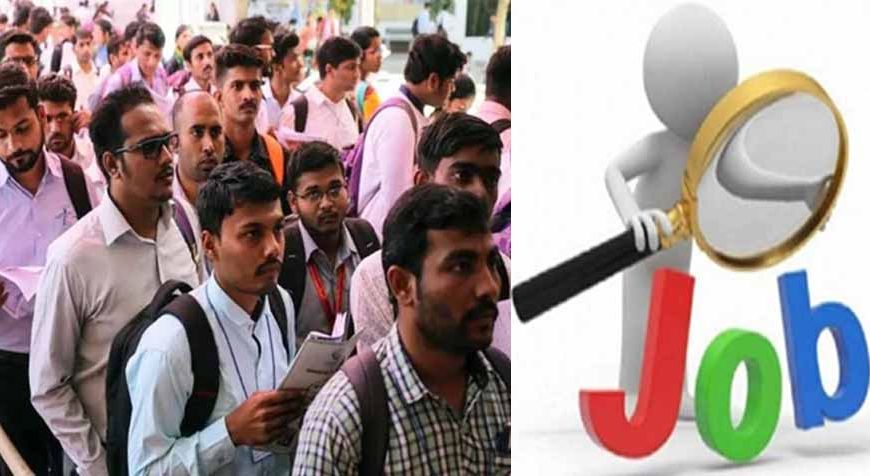 पंजाब एक्साइज विभाग में निकली भर्ती, उम्मीदवारों के लिए सुनहरा मौका