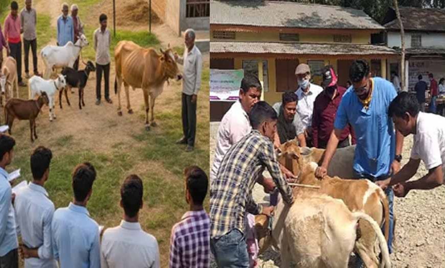 बिहार में पशुपालन मित्रों की नियुक्ति, ग्रामीण युवाओं को रोजगार और पशु पालकों को होगा लाभ