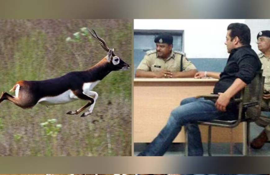 काला हिरण केस में Salman Khan को राहत, Rajasthan High Court ने पुटअप अनादर बेंच को दिए निर्देश