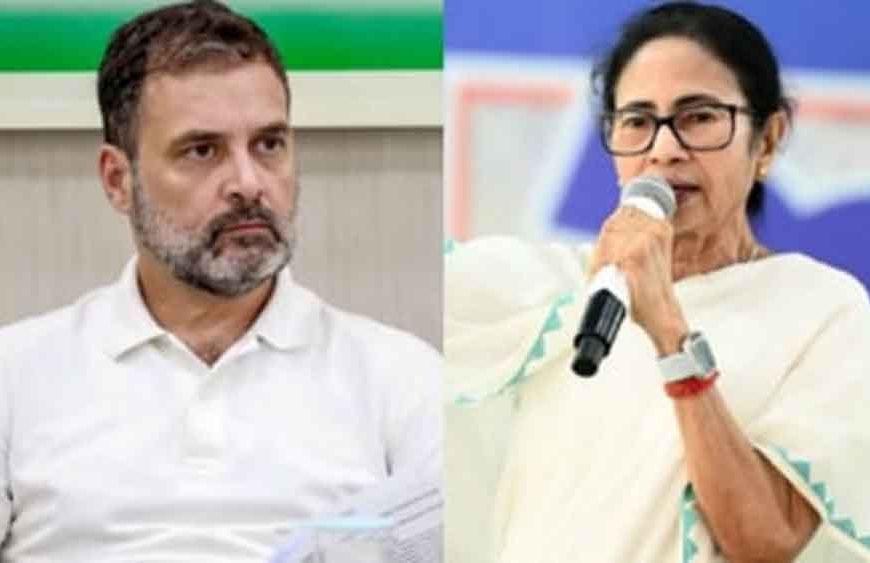 राहुल की जगह ममता बनर्जी संभालें INDIA गठबंधन की कमान! मनमोहन सिंह के करीबी की सलाह पर TMC सांसद भी सहमत