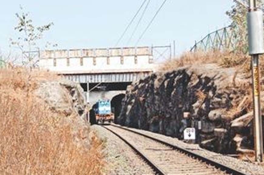 रातापानी में बनेंगे चार एनीमल ओवरपास, 10 साल में मिडघाट में 10 तेंदुए और 9 बाघ हुए मृत