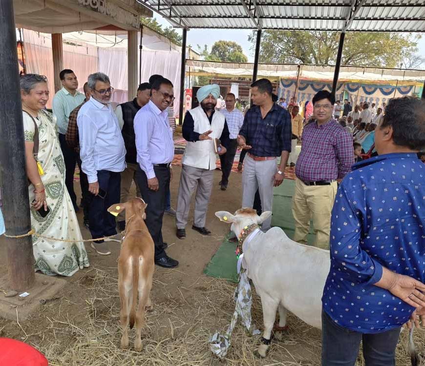 केन्द्रीय पर्यवेक्षकों ने छत्तीसगढ़ में पशुधन योजनाओं का लिया फीडबैक