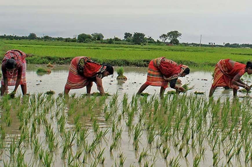 छत्तीसगढ़ सरकार की योजना: किसान तैयार हो जाएं, 1.5 लाख रुपये तक मिलेगा लाभ, जानें आवेदन प्रक्रिया