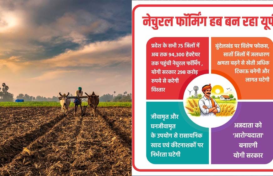 प्रदेश के सभी 75 जिलों में अब तक 94,300 हेक्टेयर तक पहुंची नेचुरल फॉर्मिंग, योगी सरकार 298 करोड़ रुपये से करेगी विस्तार