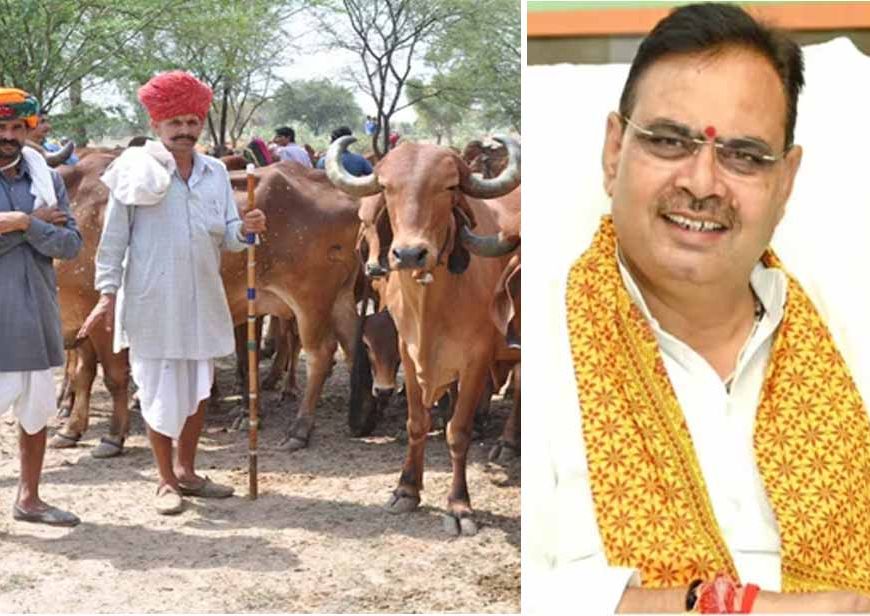 मंगला पशु बीमा योजना में 21 हजार पशुओं का होगा बीमा, पशु पालक चूके तो ₹40 हजार का नुकसान