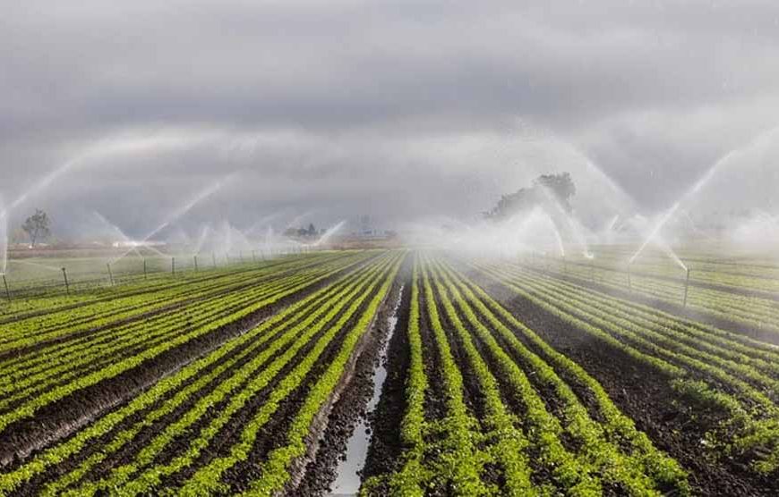 200 हेक्टेयर भूमि होगी सिंचित, लाखों किसानों को मिलेगा लाभ : खाद्य मंत्री राजपूत