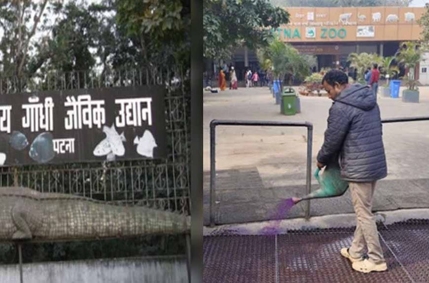 पटना जू में बर्ड फ्लू रोकने 24 घंटे निगरानी, फुट वॉश और किया जा रहा  सैनिटेशन