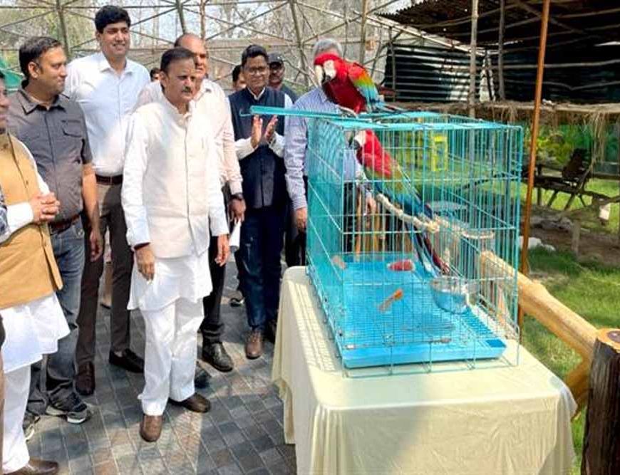 उप मुख्यमंत्री  शुक्ल ने मुकुंदपुर जू का किया निरीक्षण विदेशी पक्षियों से एवियारी हुआ गुलजार