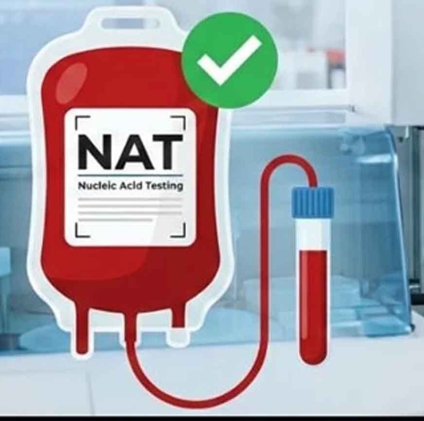 सतना कांड से सबक: MP के अस्पतालों में अब खून केवल 'NAT' टेस्ट के बाद मिलेगा