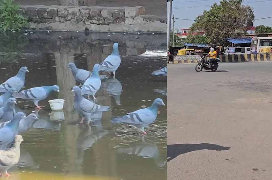 हरियाणा में समय से पहले सर्दी खत्म, मार्च में 35 डिग्री पहुंचेगा पारा