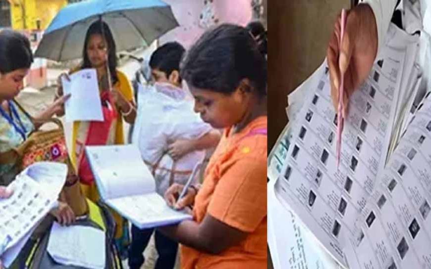 SIR में 31.36  लाख नाम कटे, गहलोत के क्षेत्र से हैं सबसे अधिक मतदाता