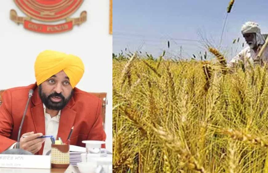 पंजाब सरकार का ऐतिहासिक फैसला, सीमावर्ती किसानों को सरकारी जमीन पर मुआवजे का मिलेगा हक