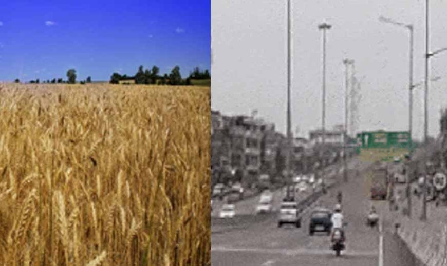 2 मार्च तक पंजाब में तापमान रहेगा नॉर्मल, रात और सुबह हो रहा गुलाबी ठंड का एहसास