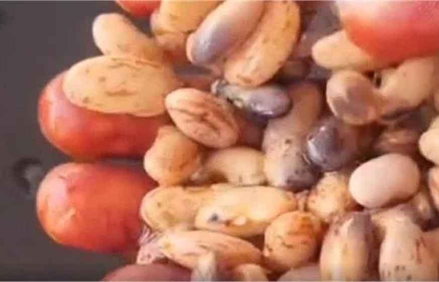 हरियाणा में मिड डे मील में लापरवाही! बच्चों को परोसा गया सड़ा राजमा, VIDEO वायरल