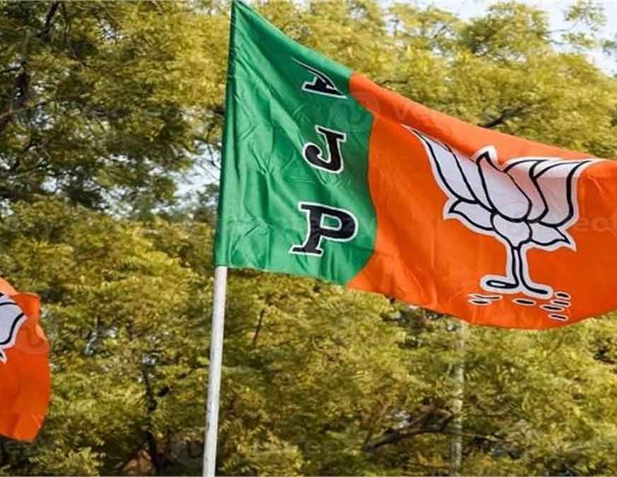 संगठन विस्तार में जुटी BJP: मंडल अध्यक्ष और जिला प्रतिनिधियों की नई सूची जारी, जानें किसे मिली जिम्मेदारी