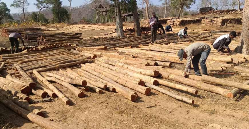 डिजिटल सिस्टम से बढ़ी पारदर्शिता, रोजगार सृजन में वन विकास निगम की नई पहल