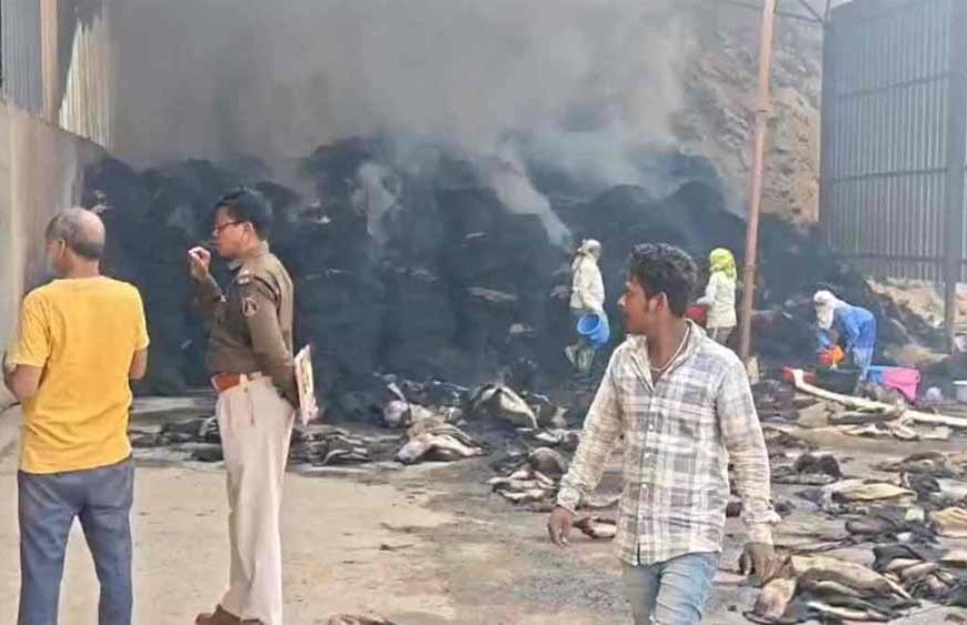 राइस मिल में भीषण आग, लाखों का धान और हजारों खाली बारदाने जलकर राख