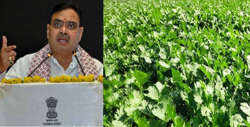 सीएम भजनलाल की होली से पहले बड़ी घोषणा, खुशी से झूमे धनिया किसान-व्यापारी