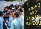 'मेरिट सूची में नाम होने से नौकरी का अधिकार नहीं', पंजाब-हरियाणा हाई कोर्ट का बड़ा फैसला