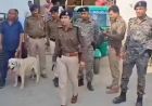 होली में हुड़दंग किया तो पड़ेगा महंगा, बिहार पुलिस ने तैयार किया सख्त एक्शन प्लान