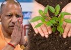 सर्वोत्तम के साथ यूपी को ‘हरित प्रदेश’ बनाने में जुटी योगी सरकार