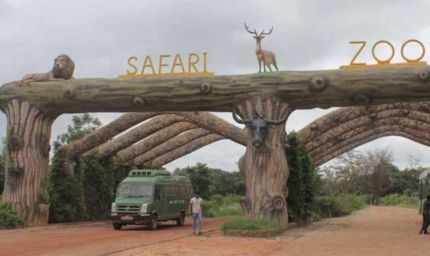 होली पर जंगल सफारी का प्लान बना रहे हैं? 3 मार्च से कुछ दिनों तक पर्यटकों की एंट्री रहेगी बंद