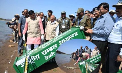 चीतों के बाद कूनो में घड़ियालों की एंट्री, सीएम ने 53 को चंबल से लाकर बसाया