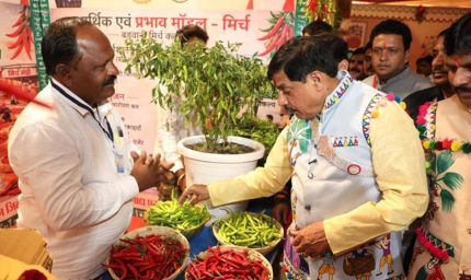 मुख्यमंत्री डॉ. यादव और कैबिनेट मंत्रियों ने निमाड़-मालवा के लोक देवता भीलट देव से सभी की समृद्धि के लिए की कामना