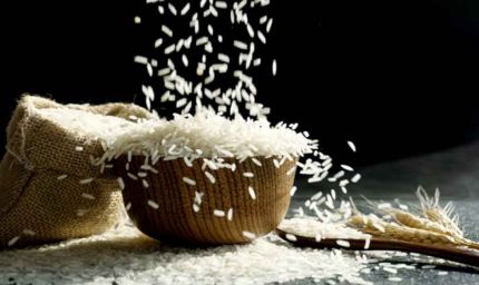 बासमती निर्यात पर संकट: पंजाब के एक्सपोर्टर्स को तीन लाख टन माल अटकने का डर